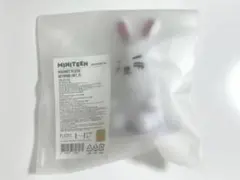 SEVENTEEN セブチ MINITEEN エスクプス マグネットキーリング