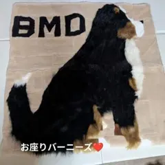 2025年最新】バーニーズマウンテンの人気アイテム - メルカリ
