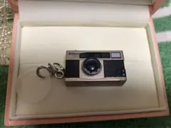 Item thumbnail for item 2fdcab7e-be8a-4587-be0e-fca0777a0006