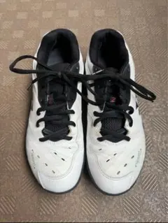 Item thumbnail for item 136effdb-0b5e-483f-b32e-1611698fa394