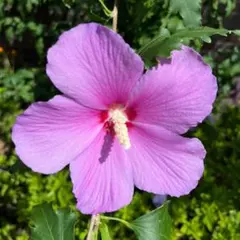 POIUYTREWQ様 リクエスト 2点 まとめ商品