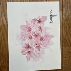 滝沢歌舞伎ZERO FINAL パンフレット