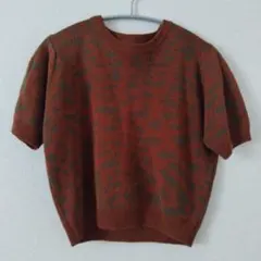 GYDA レオパード柄 半袖ニット