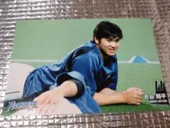 大谷翔平 2017 球団公式 ハイライトフォト 日本ハム 3月2日 練習