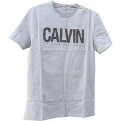 新品未使用カルバンクライン Men's ロゴTシャツ　US-L