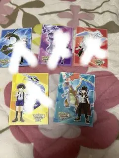 ひでりん様専用ページ ポケマス ポストカード レッド