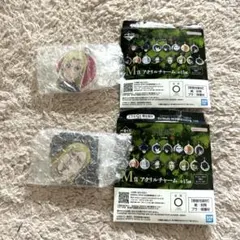 ♡一番くじ♡呪術廻戦〜死滅回遊〜壱♡M賞アクリルチャーム♡九十九由基レジィスター