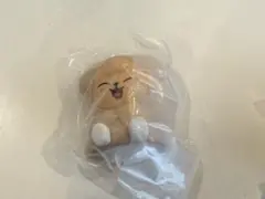 新品　SKZOO ライトマスコット パピーム スキズガチャ