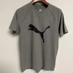 PUMA プーマ ロゴTシャツ グレー S（M相当）
