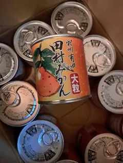 昭和レトロ はごろも 鰤フレーク 大型缶 ブリキ ディスプレイ缶