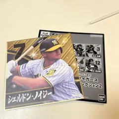 Item thumbnail for item 52b9d500-284e-49fa-b7a9-a5da70989d62