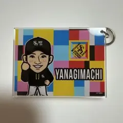 2026年最新】若鷹ガチャの人気アイテム - メルカリ