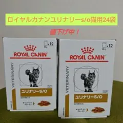 こねこねこ様専用FELIWAY Friends 交換用ボトル3本セット - メルカリ