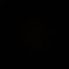 Item thumbnail for item a5a83041-96e4-4b3d-a47b-fc777456bc6b