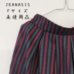 ジーナシス Fサイズ 未使用品 ストライプスカート JEANASIS
