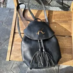 キタムラ リュック ジャンク品のサムネイル