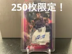 Zip様 リクエスト 2点 まとめ商品