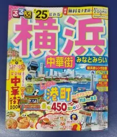 Item thumbnail for item 6b45e7c7-dbd7-4202-a92c-2db38148c48f