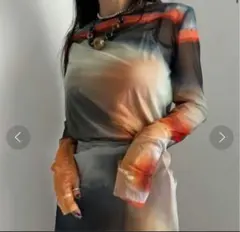 希少 エイミーイストワール✖︎メトロポリタン美術館 シアートップス