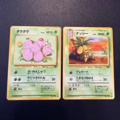 タマタマ、ナッシー