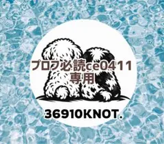 プロフ必読ce0411さま専用です