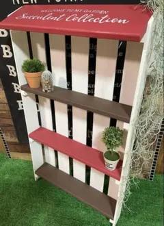 多肉植物棚 GAI-T55（棚＋トレー） - メルカリ