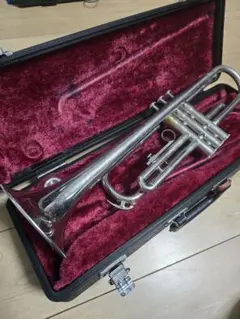 2025年最新】YAMAHA YTR1310の人気アイテム - メルカリ