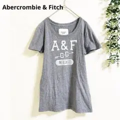 アバクロンビー&フィッチ　半袖Tシャツ　ロゴプリント　コットン100% デイリー