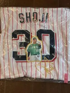 Item thumbnail for item b43bc6cf-b87a-4659-b293-78a28f71b51a