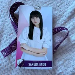 乃木坂46 遠藤さくら　個別チケットホルダー