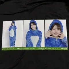 伊藤理々杏 乃木坂46 生写真 福井県ver. コーデ 恐竜 3種コンプ