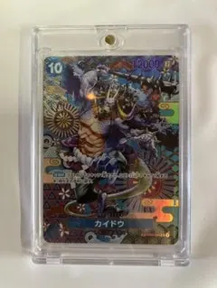 2026年最新】カイドウ sp ワンピースカードの人気アイテム - メルカリ