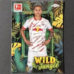 Wild Jungle！SSP！アントニオ・ヌサ RBライプツィヒ