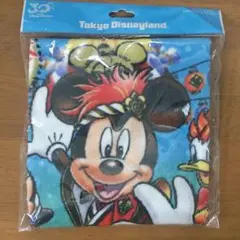 ミッキー＆ミニー＆ドナルド ウォッシュタオル ディズニー 夏祭り 30th