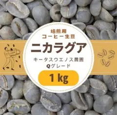 コーヒー生豆】タンザニア キリマンジャロ AB シャー農園 1kg - メルカリ