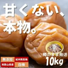 vivitan　二重＆遮光パッケージで賞味期限5年、常備梅　10点セット vivitan様専用 二重＆遮光パッケージで賞味期限5年、常備梅 10点セット