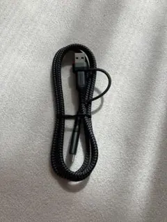 2in1 USB C ケーブル 1M PD対応 100W急速充電 USB