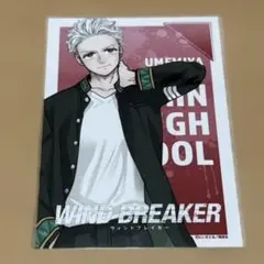 WIND BREAKER ウィンドブレイカー ウィンブレ ポストカード 梅宮