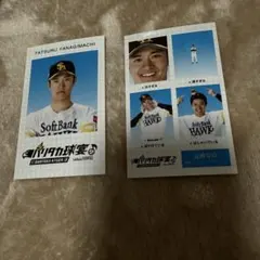 ラスト1枚　柳町達　ソフトバンクホークス　若鷹ガチャ　証明写真風スマロイド