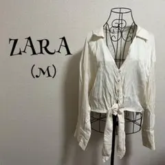 Item thumbnail for item 5c47b243-5168-4d12-a9fe-4e3106cc8af6