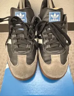 adidas Samba (廃盤カラー)
