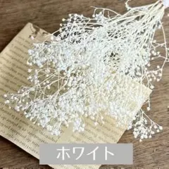 화이트 카스미소 다이치 팜 화이트 소프트 미니 안개꽃 프리저브드 플라워