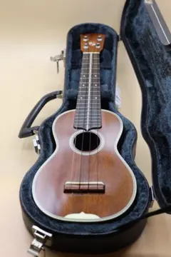 Item thumbnail for item d67a5c6c-c39c-4fed-b6be-ebaf7eacf297