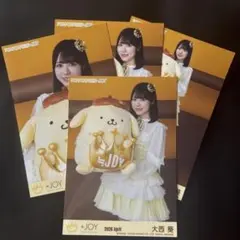 ≒JOY 大西葵 生写真 まとめ売り - メルカリ