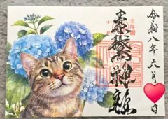 소가 신사 계절 고슈인 수국과 고양이 (타이안 키치지)