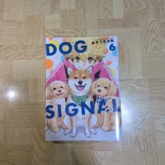DOG SIGNAL 6