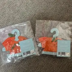 SKZOO ミニ 洋服 シトラスver. 2着