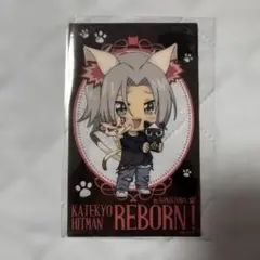 リボーン REBORN ナンジャタウン クリアイラストシート ちびキャラ