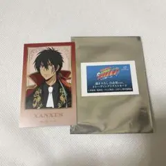家庭教師ヒットマンREBORN！　ザンザス　XANXUS トレカ　白衣装