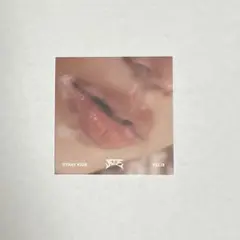 straykids スキズ 樂star 封入 トレカ リップカード フィリックス